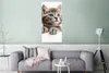 MuchoWow® Poster Katze - Grau - Tiere 60x120 cm - Produktbild-Vorschau 5