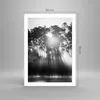 Poster - Poster ohne Rahmen - Wald Kiefer Sonne - 50x70 cm Produktbild-Vorschau 4
