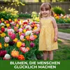 Winterharde, meerjarige tulpenbollen - Mix - 50 bloembollen Productafbeelding-voorbeeld 5