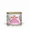 Royal Canin BABYCAT INSTINCTIVE - Nassfutter für Katzen - Produktbild-Vorschau 16
