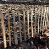 A close-up view of a wooden picket fence made of hazelnut stakes, with wire running horizontally between the stakes. The fence is set in a natural outdoor environment with fallen leaves on the ground. Produktbild-Vorschau