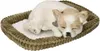 Perfect Petzzz Chihuahua 96262 Produktbild-Vorschau 4