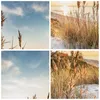 Poster - Poster ohne Rahmen - Ähren Küste Sonne - 70x50 cm Produktbild-Vorschau 8
