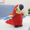 Hovoriaci papagáj na učenie papagájov, elektrický plyš, Náhľad obrázku produktu 3