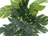 EUROPALMS Filodendron rozdělený, umělá rostlina, 38cm Náhled obrázku produktu 3
