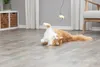 Trixie Katzen-Spielangel mit Stern Produktbild-Vorschau 7