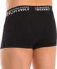 Pack-3 Boxershorts Geographical Norway GN1000 Mann Produktbild-Vorschau 7