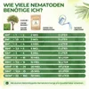 SF Nematoden gegen Apfelwickler -15 Mio.: Für 30 m² Produktbild-Vorschau 3