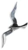 Gilde Wandobjekt, Vogel, "Flying Bird", Aluminium, Anteprima dell’immagine prodotto 1
