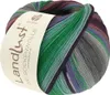 Lana Grossa Landlust DIE SOCKENWOLLE 100 g 4-fach Produktbild-Vorschau 1