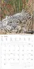 Alpha Edition - Tierbabys Kalender 2026 - Wandkalender Produktbild-Vorschau 16