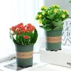 Unsichtbare Blumentopffüße 50 Stück für Blumentopf, Garten Produktbild-Vorschau 6