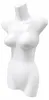 set di 10 busti femminili - busto da donna in plastica da Anteprima dell’immagine prodotto 5