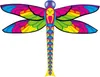 Kinderdrachen HQ Dragonfly Kite 102196 Regenbogen 100 x 76 Produktbild-Vorschau 1