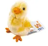 A plush toy chick is shown against a white background, holding a tag. Podgląd zdjęcia produktu