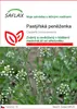 SAFLAX - pastýřská peněženka - Capsella bursa-pastoris - Náhled obrázku produktu 1