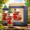 Hesi Bloom Organischer Blütedünger für die Blütephase NPK Produktbild-Vorschau 6