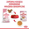 Royal Canin FHN Kitten Instinctive mokra karma dla kociąt w Náhled obrázku produktu 12
