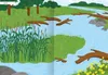 Naturforscher-Kids - Stickerheft Heimische Tierwelt Produktbild-Vorschau 5