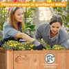 Coemo Hochbeet Kräuterbeet Holz mit Pflanzfolie 90 x 40 x Produktbild-Vorschau 4