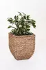 VIVANNO Pot de fleurs jacinthe d'eau ASIA cube, naturel Voir les images du produit 3