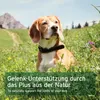 AniForte Weihrauchkapseln für Hunde 100 Stück - Natürliche Produktbild-Vorschau 5