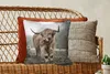 MuchoWow® Zierkissen Sofakissen Wohnzimmer Dekokissen 45x45 Produktbild-Vorschau 5
