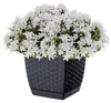 Prosperplast Pflanzentopf/Blumentopf - Rattan Kunststoff - Produktbild-Vorschau 6