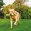 A dog running in a grassy park with a toy in its mouth. Produktbild-Vorschau