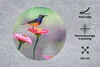 MuchoWow® Mauspad Mousepad Nahaufnahme eines Kolibris auf Produktbild-Vorschau 2
