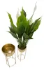 Blumenständer 2er-Set Eisen antik-gold Ø 27x62 und 21,5x52 Produktbild-Vorschau 11