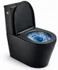 WC combinato SAT Brevis con scarico Tornado, allacciamento Anteprima dell’immagine prodotto 1