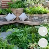 Bloomique - 6er Set - Farne Winterhart für Garten - Produktbild-Vorschau 2