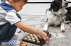 Schachspiel Schach Schachbrett Holz 25 cm Chess Board Set Produktbild-Vorschau 6