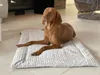 Petlando Decke Daisy M grau 75 x 55 x 4 cm Produktbild-Vorschau 1