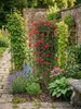 SET 3x Rankgitter 150 x 36 cm Rost - Rankhilfe Garten - Produktbild-Vorschau 5