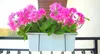 KADAX Support de pot de fleurs, suspendu, pour balustrade, Voir les images du produit 6