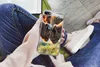 MuchoWow® Handyhülle Schutzhülle Hülle für iPhone 7 Produktbild-Vorschau 3