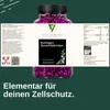 Detailansicht der Nährwerte und Inhaltsstoffe der Kollagen Gummibärchen mit Fokus auf Zellschutz Anteprima dell’immagine prodotto