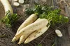 SAFLAX Set regalo - BIO - Ravanello - Daikon giapponese - Anteprima dell’immagine prodotto 5