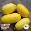 Samenliebe  Kürbis Samen | Spaghetti Kürbis - gelb - Produktbild-Vorschau 4