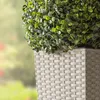 A close-up view of a square woven planter with a green leafy plant. Náhľad obrázku produktu