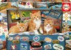Educa - Katzen im Reisekoffer 200 Teile Puzzle Produktbild-Vorschau 1