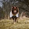 Non-stop dogwear Regenmantel Fjord raincoat 2.0 grau, Produktbild-Vorschau 10