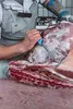 F. DICK Ausbeinmesser ExpertGrip 15 cm, halbflexibel- Náhľad obrázku produktu 6