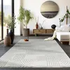 A modern living room with a rug, furniture, and plants.
