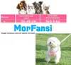 Step in Hundegeschirr und Leine Set - Ziehfreies, Produktbild-Vorschau 6