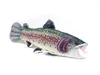 A plush toy fish lying on a white background. Produktbild-Vorschau