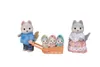 Sylvanian Families 5636, 3 Jahr(e), Mehrfarbig, Produktbild-Vorschau 5