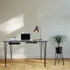 A desk with a laptop, lamp, and plants. Podgląd zdjęcia produktu